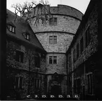 Branstock : Branstock  -  Sadorass